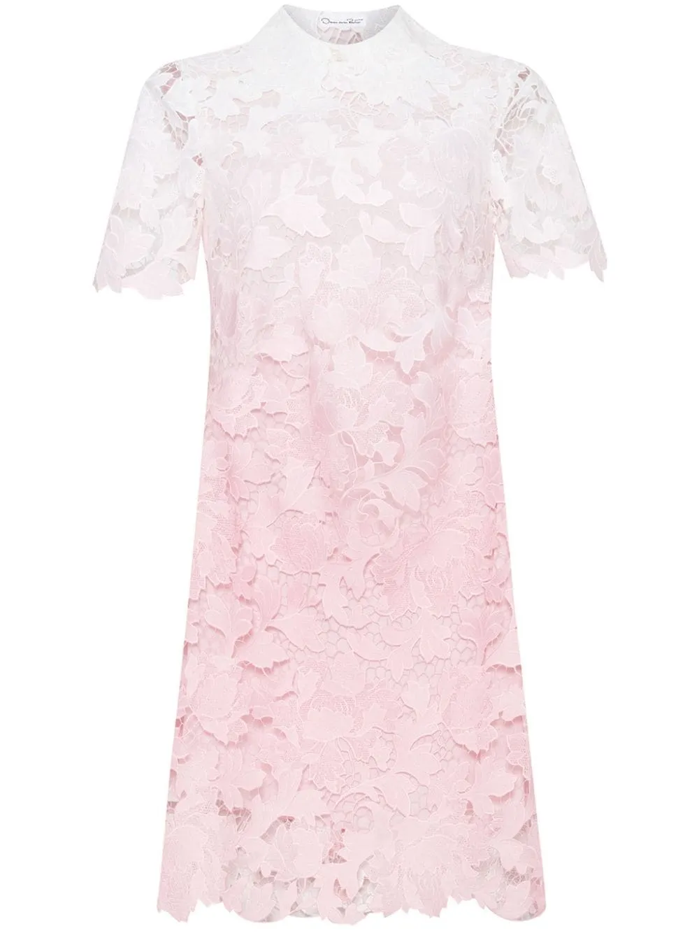 Ombre Peony Guipure Shift Dress