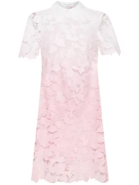 Ombre Peony Guipure Shift Dress